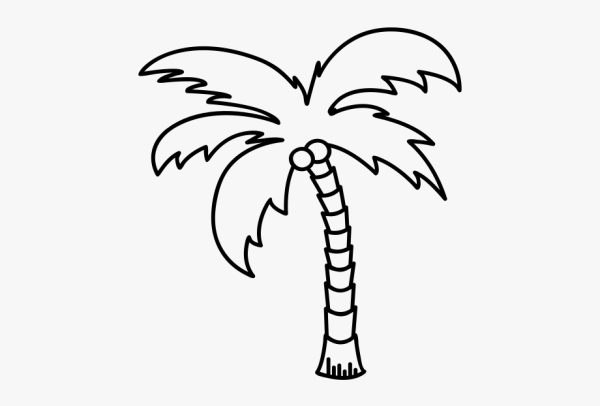 Пальма рисунок