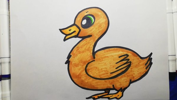 Уточка маркерами