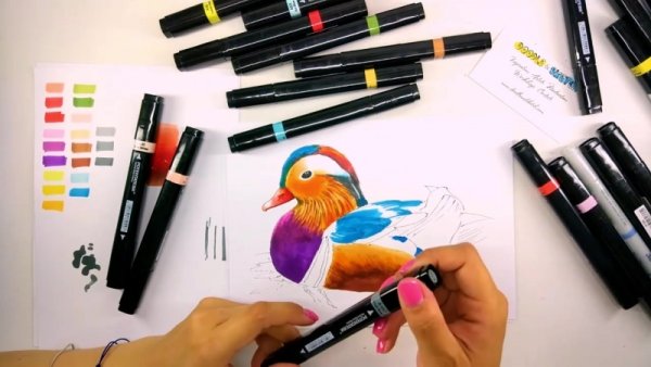 Уточка маркерами