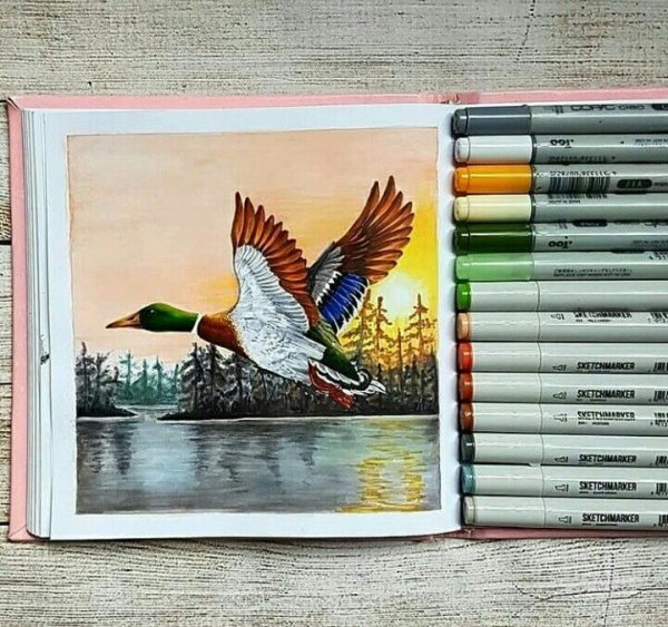 Уточка рисунок маркерами