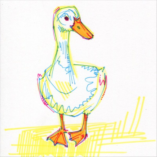 Утка рисунок фломастерами