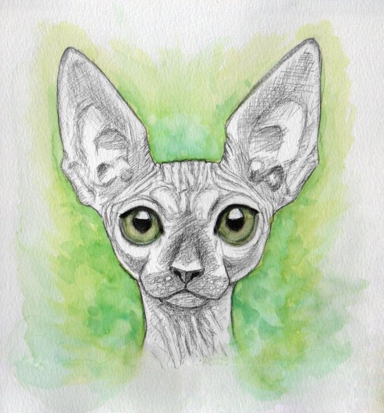 Сфинкс рисунок маркерами