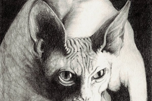 Сфинкс фломастерами