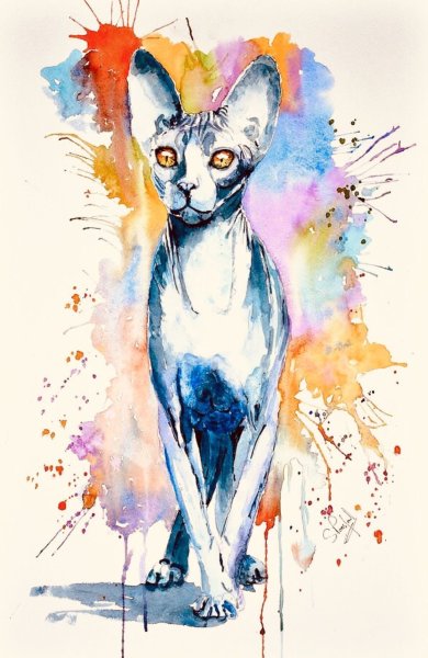 Кот сфинкс акварелью