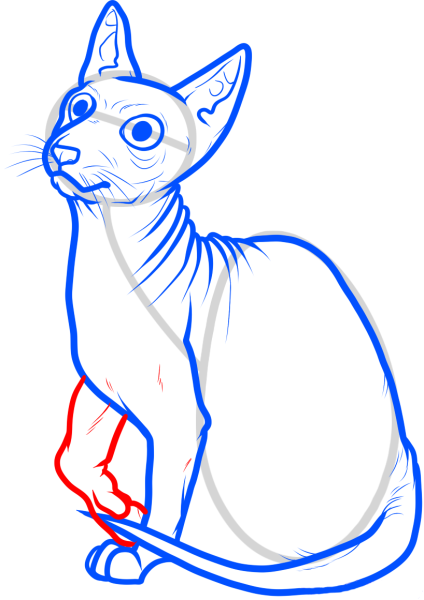 Сфинкс для срисовки