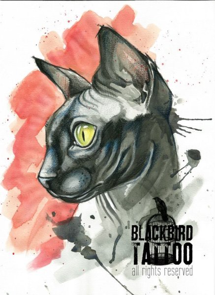 Тату сфинкс акварель