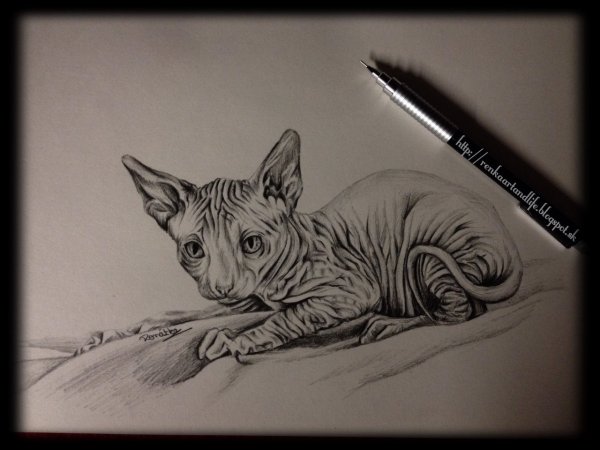 Сфинкс фломастерами