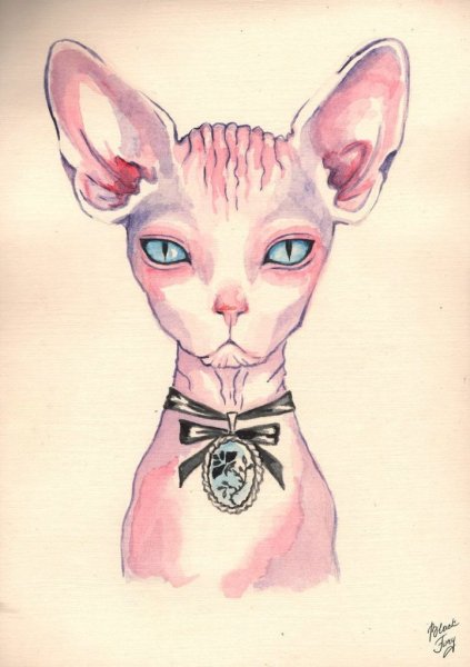 Милые мультяшные сфинксы