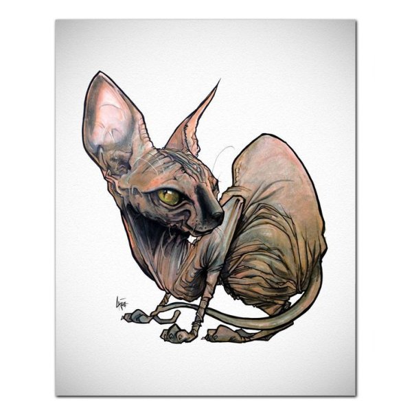 Кот сфинкс арт