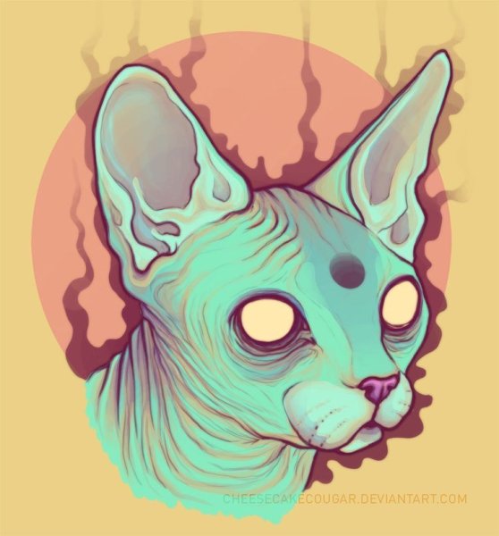 Арты сфинксов