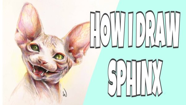 Сфинкс рисунок маркерами