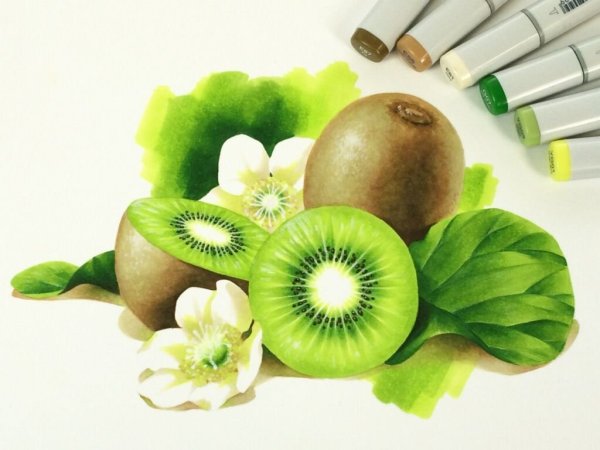 Скетчинг маркерами киви