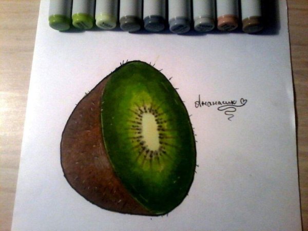 Скетч акварель киви