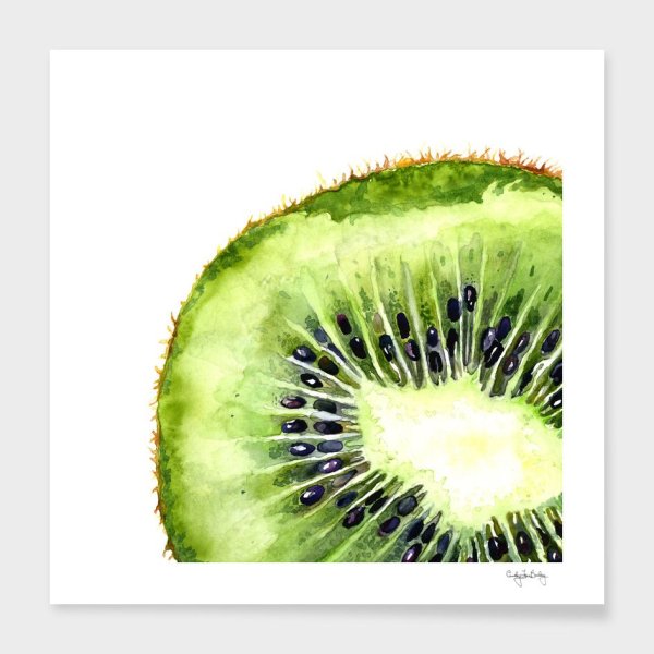 Скетчинг киви