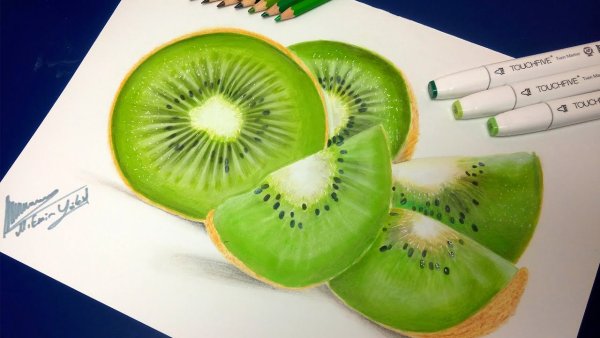 Киви рисунок маркерами