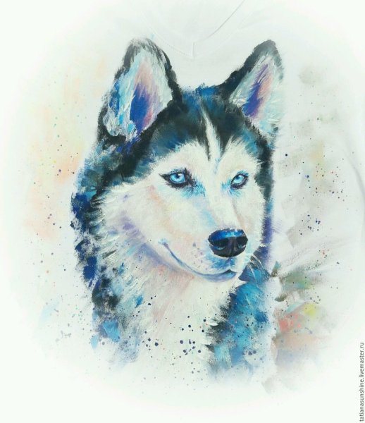 Хаска карандашами акварельными