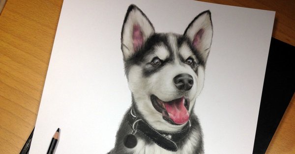 Собака арт карандашом