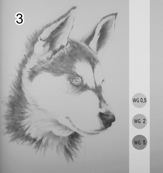 Рисунок хаски маркерами