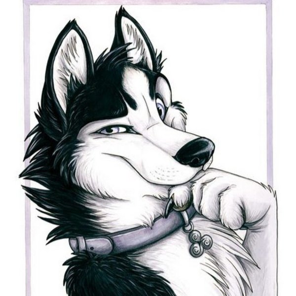 Фурри волк для срисовки