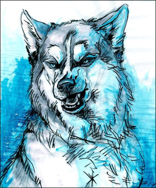 Волк арт маркерами