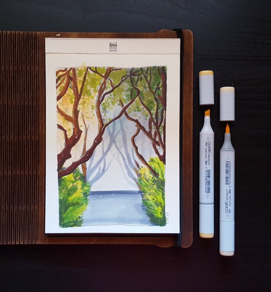 Закат маркерами