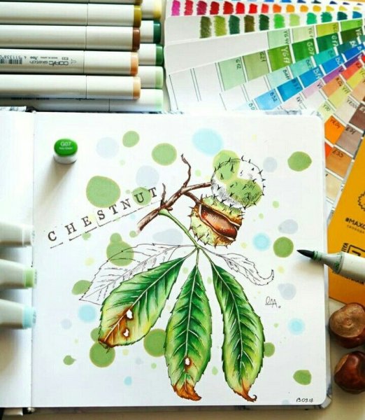 Рисунки для скетчбука маркерами