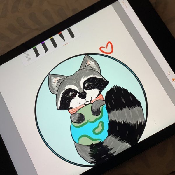 Енот маркерами