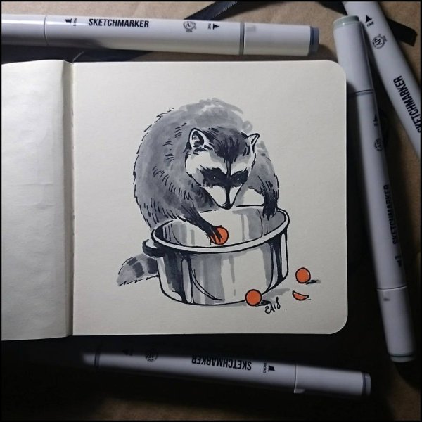 Енот скетч маркерами