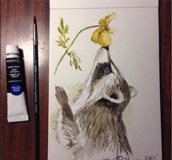 Скетчинг енот