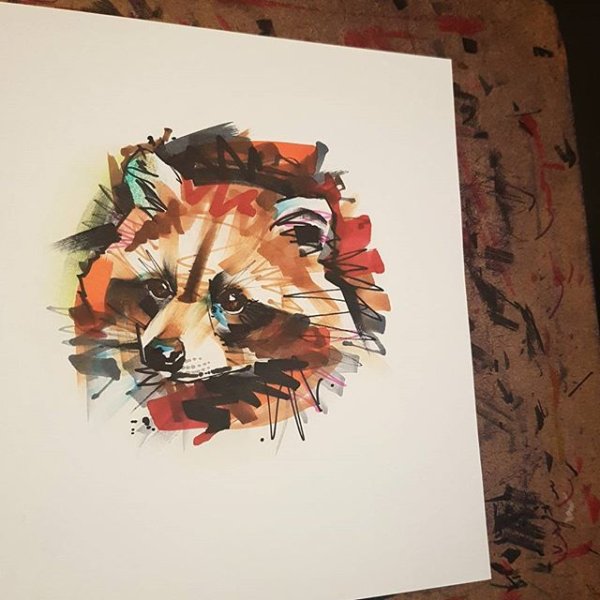 Енот нарисованный маркерами