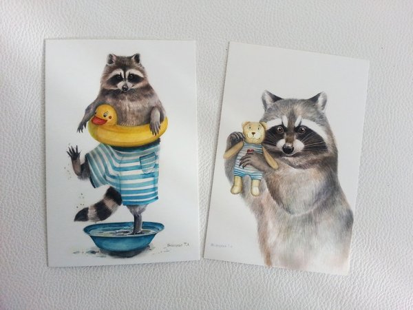 Открытка с енотиком