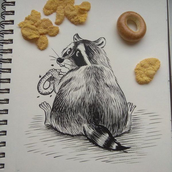 Скетчинг енот