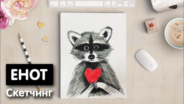 Рисунки для срисовки маркерами енот