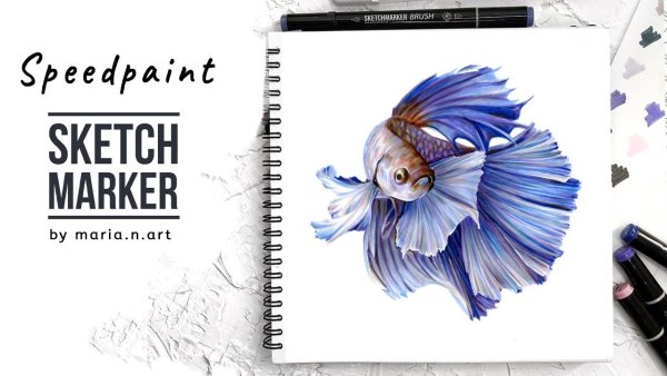 Арты маркерами SKETCHMARKER