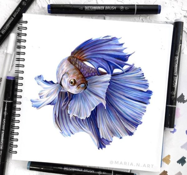 Набор маркеров SKETCHMARKER Brush Tropics 36