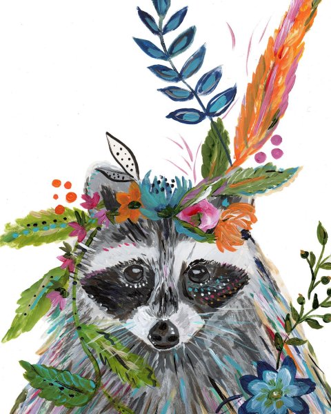 Енот рисунок