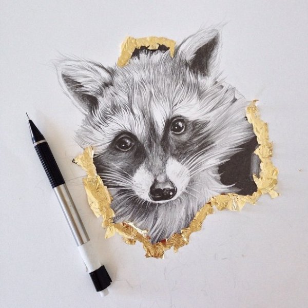 Енот эскиз