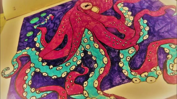 Осьминог набросок