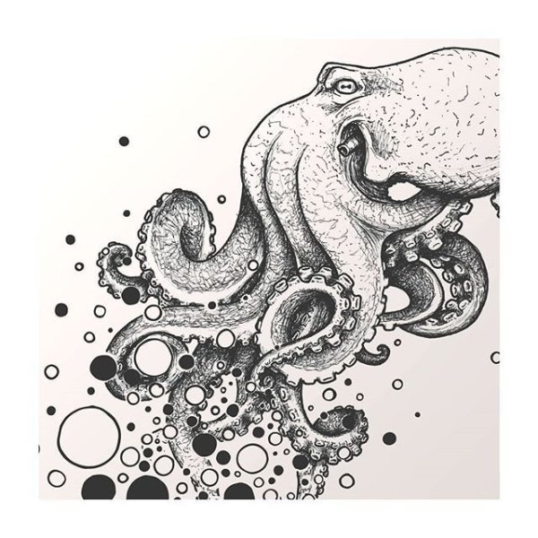 Кракен головоногий