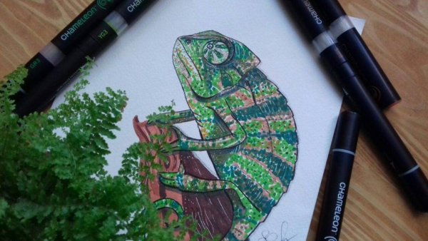 Фломастеры хамелеон