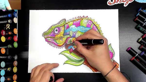 Маркеры для рисования хамелеон для рисования