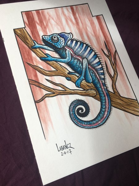 Ящерица рисунок маркерами