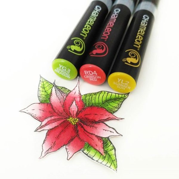 Маркеры Chameleon рисование