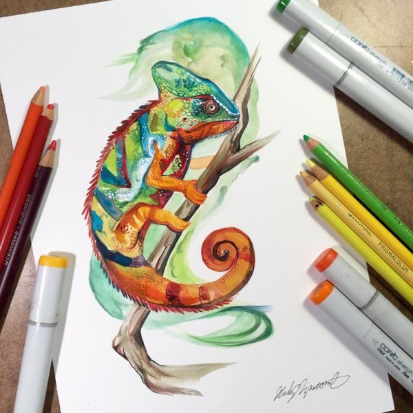 Животные фломастерами