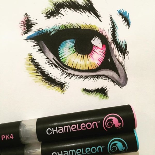 Рисунки маркерами хамелеон