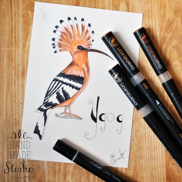 Хамелеон рисунок фломастерами