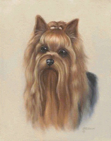 Йоркширский терьер пастелью