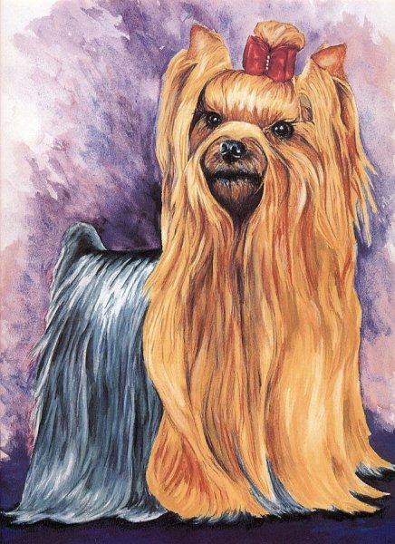 Мультяшный терьер