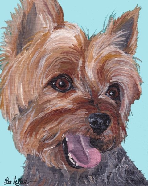 Йоркшир Бивер