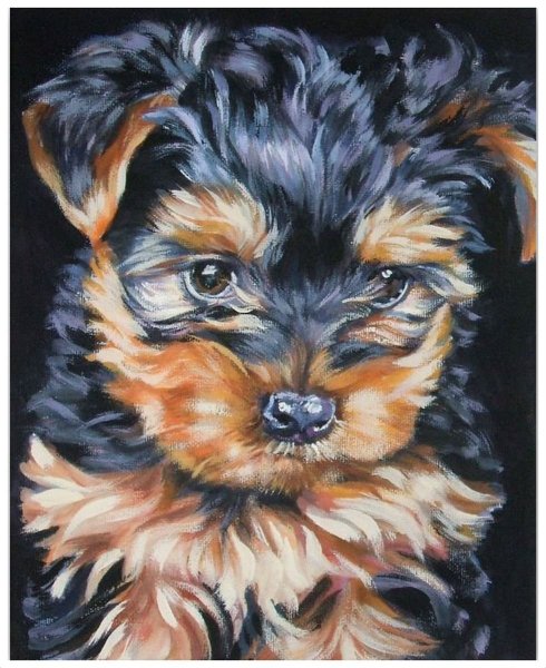 Скетчинг Йоркширский терьер